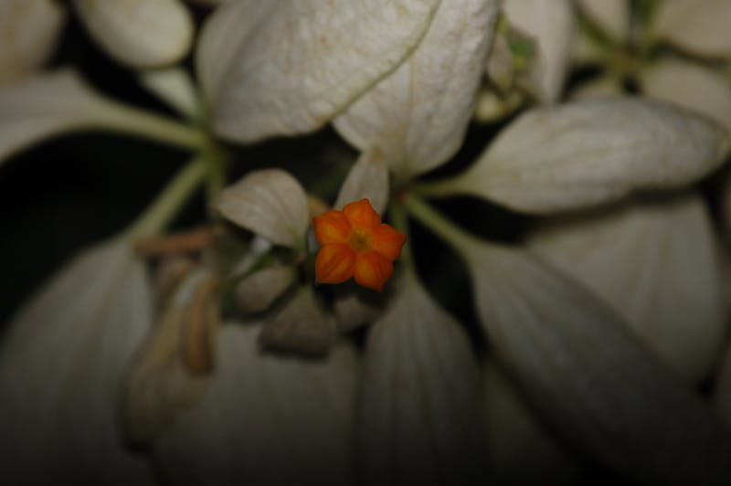 Oil stain removal Temple TX