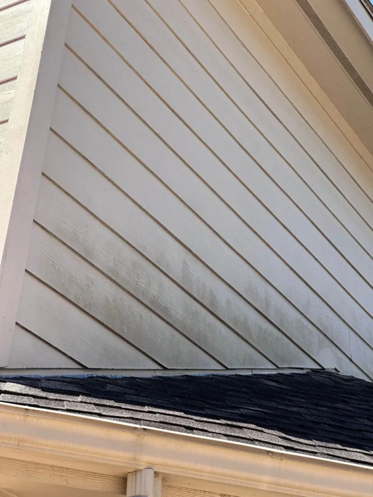 Algae Growing On Vynil Siding