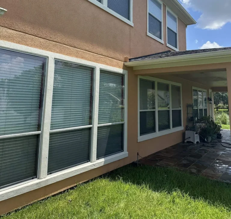 Algae On Stucco Clean