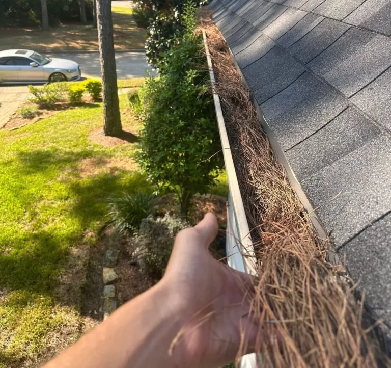 Gutter Cleaning Before